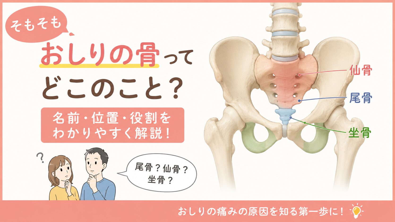 おしり の 骨